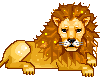Gif animé lion couché rugit